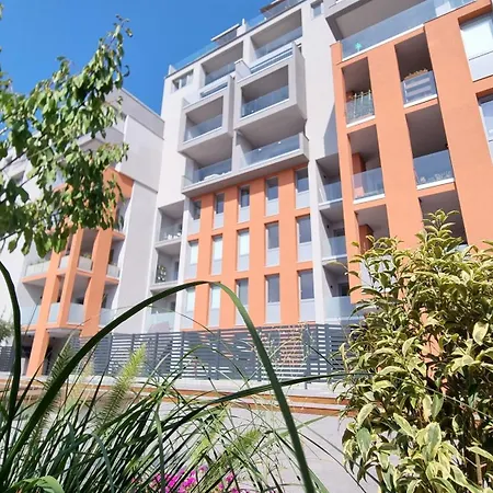 The Blue Corner 的里雅斯特